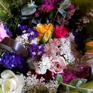 Seasonal Cut Flowers