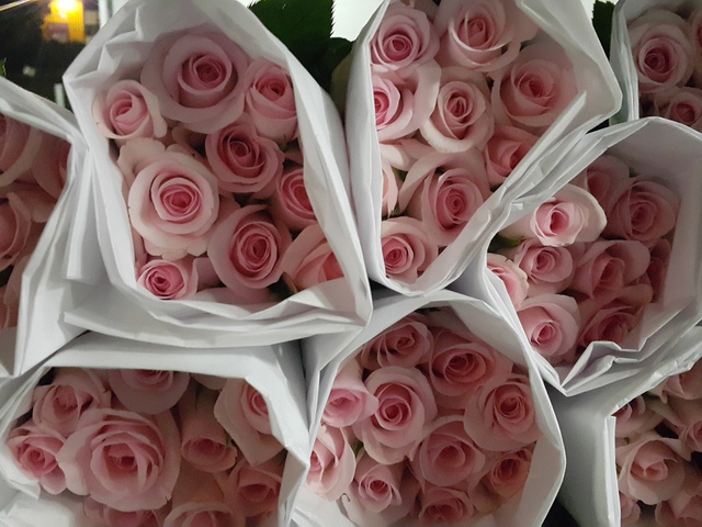 Florabunda Rose Bunches Local Delivery