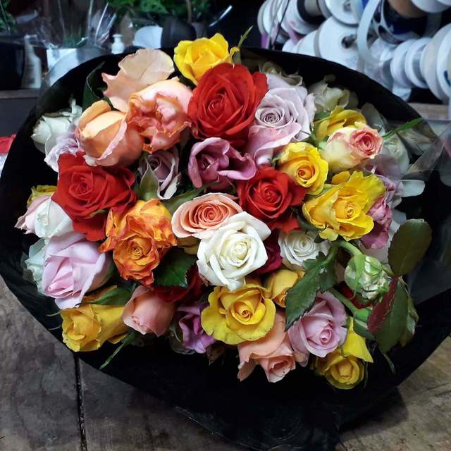 50 Long Stem Roses - Free Local Delivery Kumeu