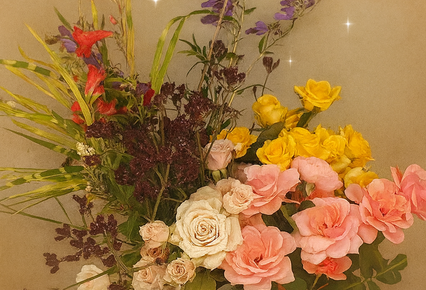 U-Pick $99.95 - early Bird Gift Voucher