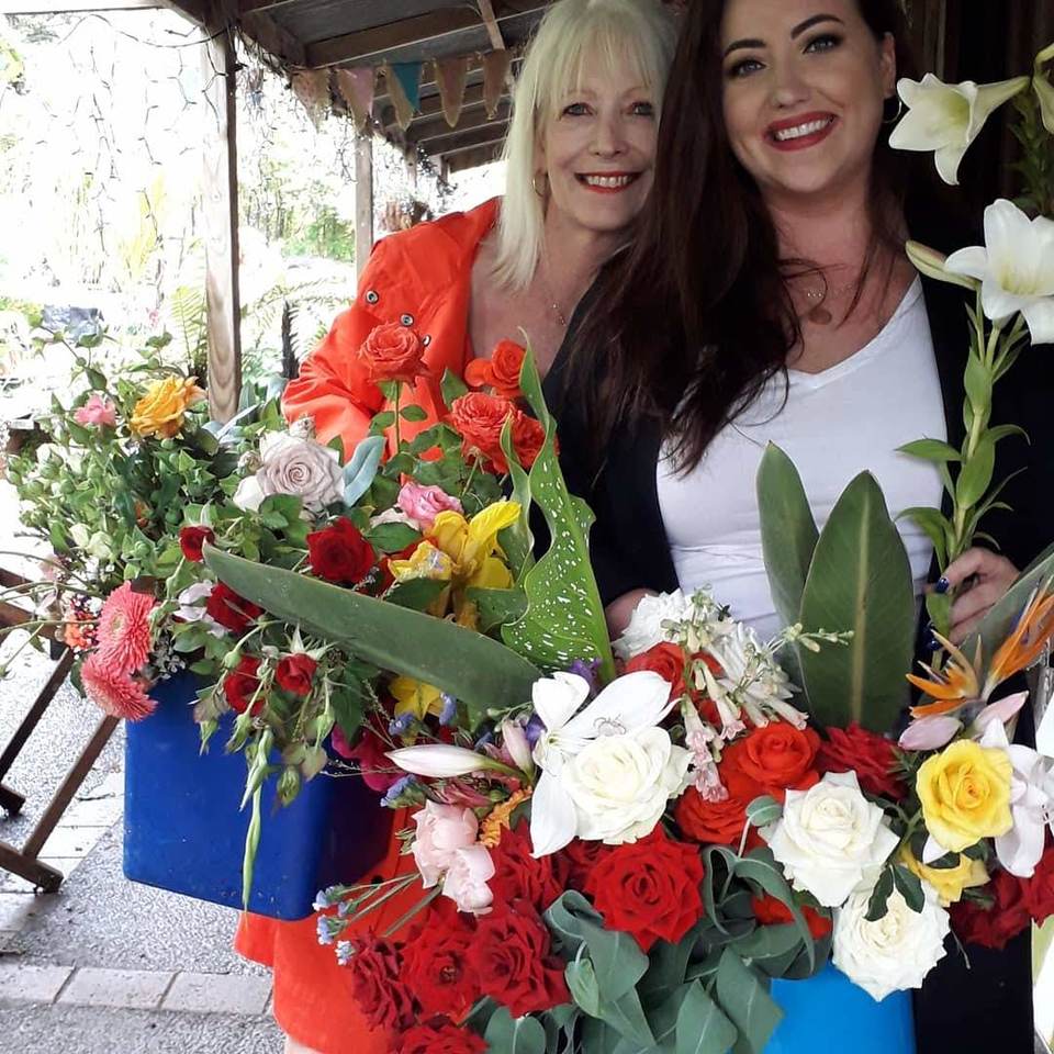 Kumeu Flower farm l Gerbera Pick Your Own UPick