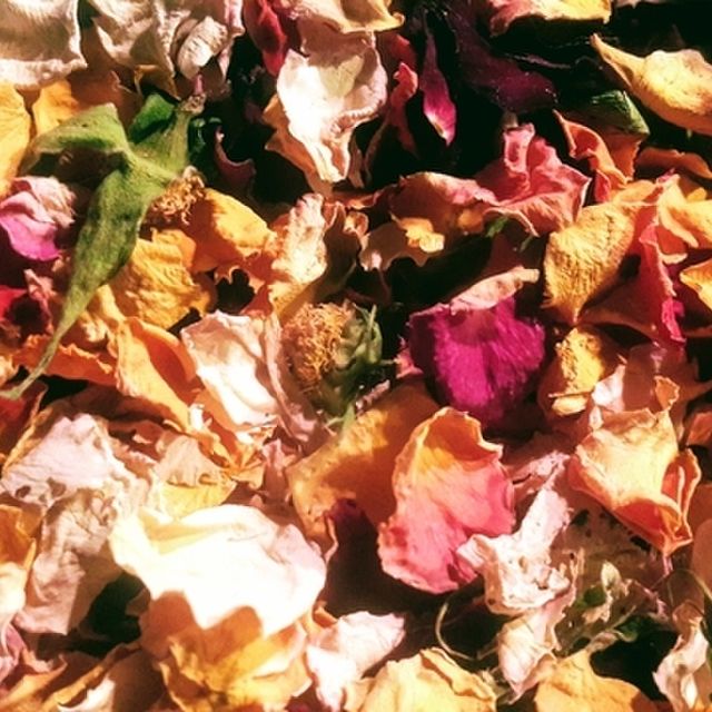 Dried edible rose petals - NZ Grown